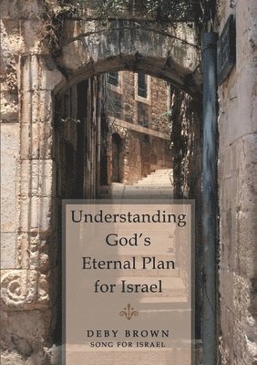 bokomslag Understanding God's Eternal Plan for Israel