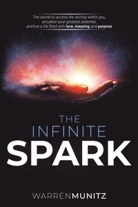 bokomslag Infinite Spark