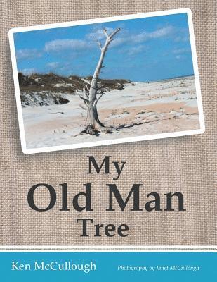 My Old Man Tree 1