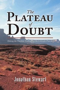 bokomslag The Plateau of Doubt