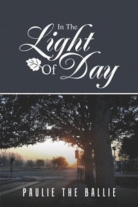 bokomslag In The Light Of Day