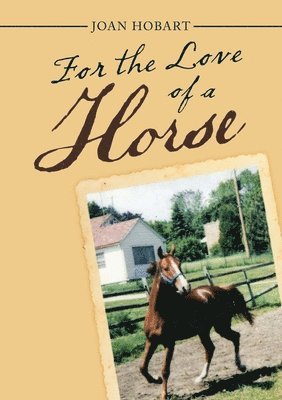 For the Love of a Horse 1