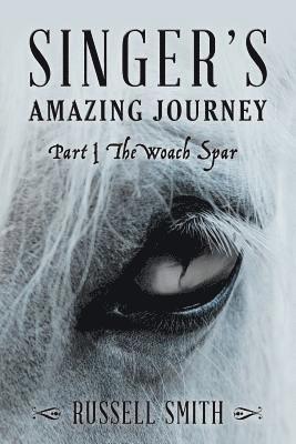 Russell Smith - Singer's Amazing Journey, Häftad