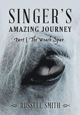 Singer's Amazing Journey 1