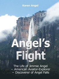 bokomslag Angel's Flight