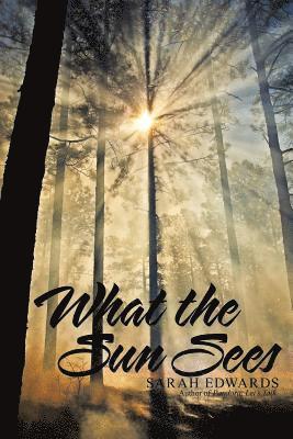 What the Sun Sees