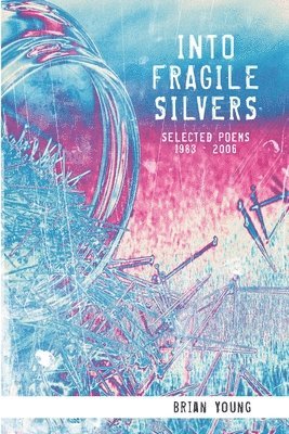 Brian Young - Into Fragile Silvers, Häftad