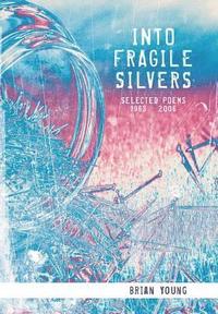 bokomslag Into Fragile Silvers