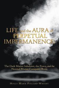 bokomslag Life and the Aura of Perpetual Impermanence