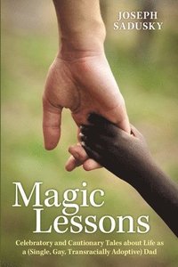 bokomslag Magic Lessons