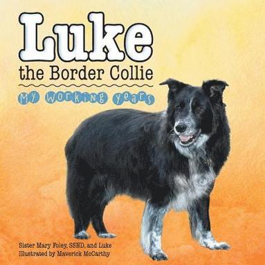 bokomslag Luke the Border Collie