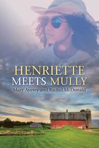bokomslag Henriette Meets Mully