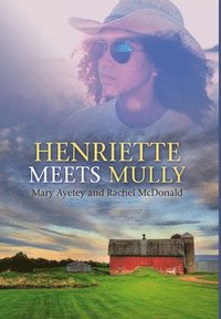 bokomslag Henriette Meets Mully