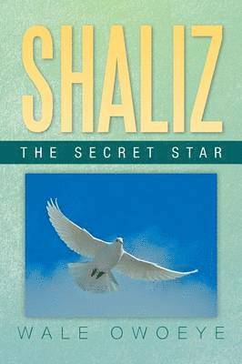 bokomslag Shaliz - The Secret Star