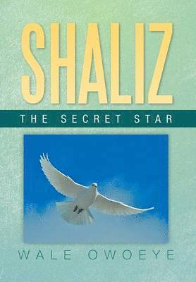 bokomslag Shaliz - The Secret Star
