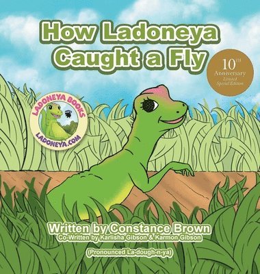 How Ladoneya Caught a Fly 1