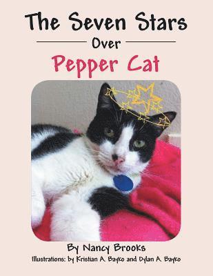 Seven Stars Over Pepper Cat
