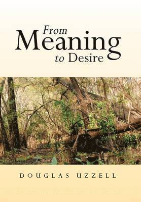 From Meaning to Desire 1