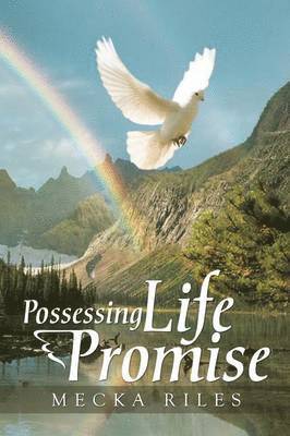 bokomslag Possessing Life Promise