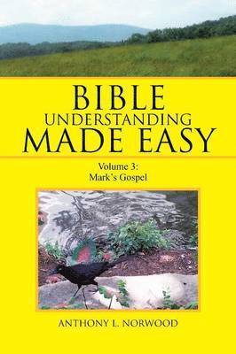 bokomslag Bible Understanding Made Easy