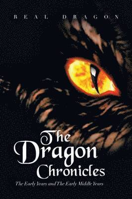 The Dragon Chronicles 1