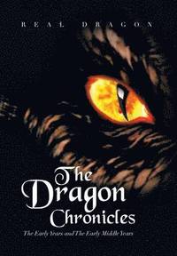 bokomslag The Dragon Chronicles