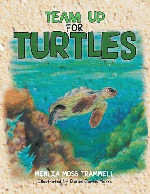 Team Up for Turtles 1