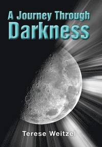 bokomslag Journey Through Darkness