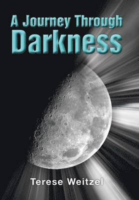 bokomslag Journey Through Darkness