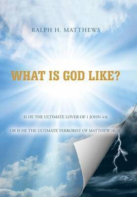 bokomslag What Is God Like?