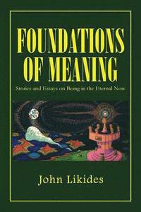 bokomslag Foundations of Meaning