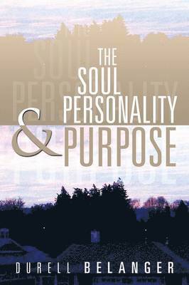bokomslag Soul Personality and Purpose