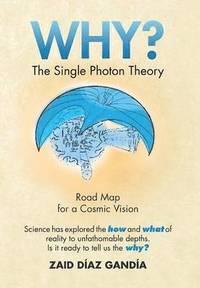 bokomslag Why? the Single Photon Theory