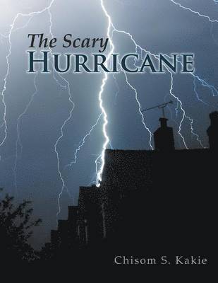 bokomslag Scary Hurricane