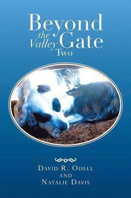 David R Odell, Natalie Davis, David R. Odell - Beyond the Valley Gate Two, Häftad