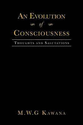 bokomslag An Evolution of Consciousness