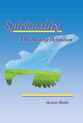 bokomslag Spirituality the Missing Definition