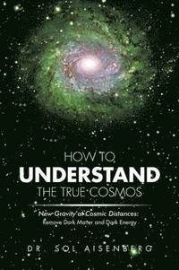 bokomslag How to Understand the True Cosmos