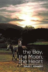 bokomslag The Bay, the Moon, the Heart