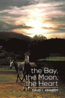 David C Kennedy, David C. Kennedy - Bay, the Moon, the Heart, Häftad