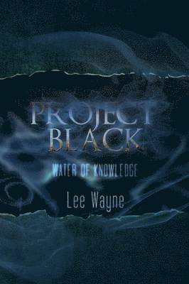bokomslag Project Black