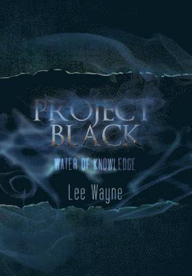 bokomslag Project Black