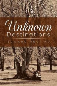bokomslag Unknown Destinations