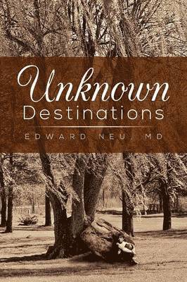 bokomslag Unknown Destinations