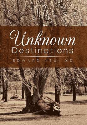 bokomslag Unknown Destinations