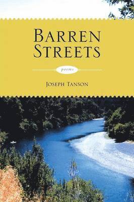 Barren Streets 1