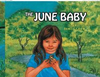 bokomslag The June Baby