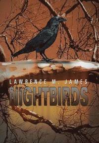 bokomslag Nightbirds