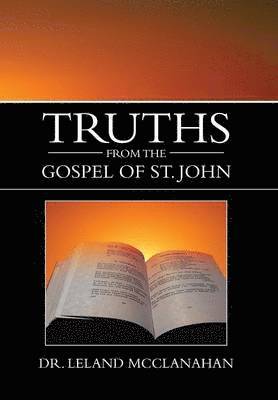 bokomslag Truths from the Gospel of St. John