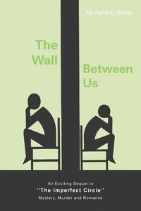 bokomslag The Wall Between Us